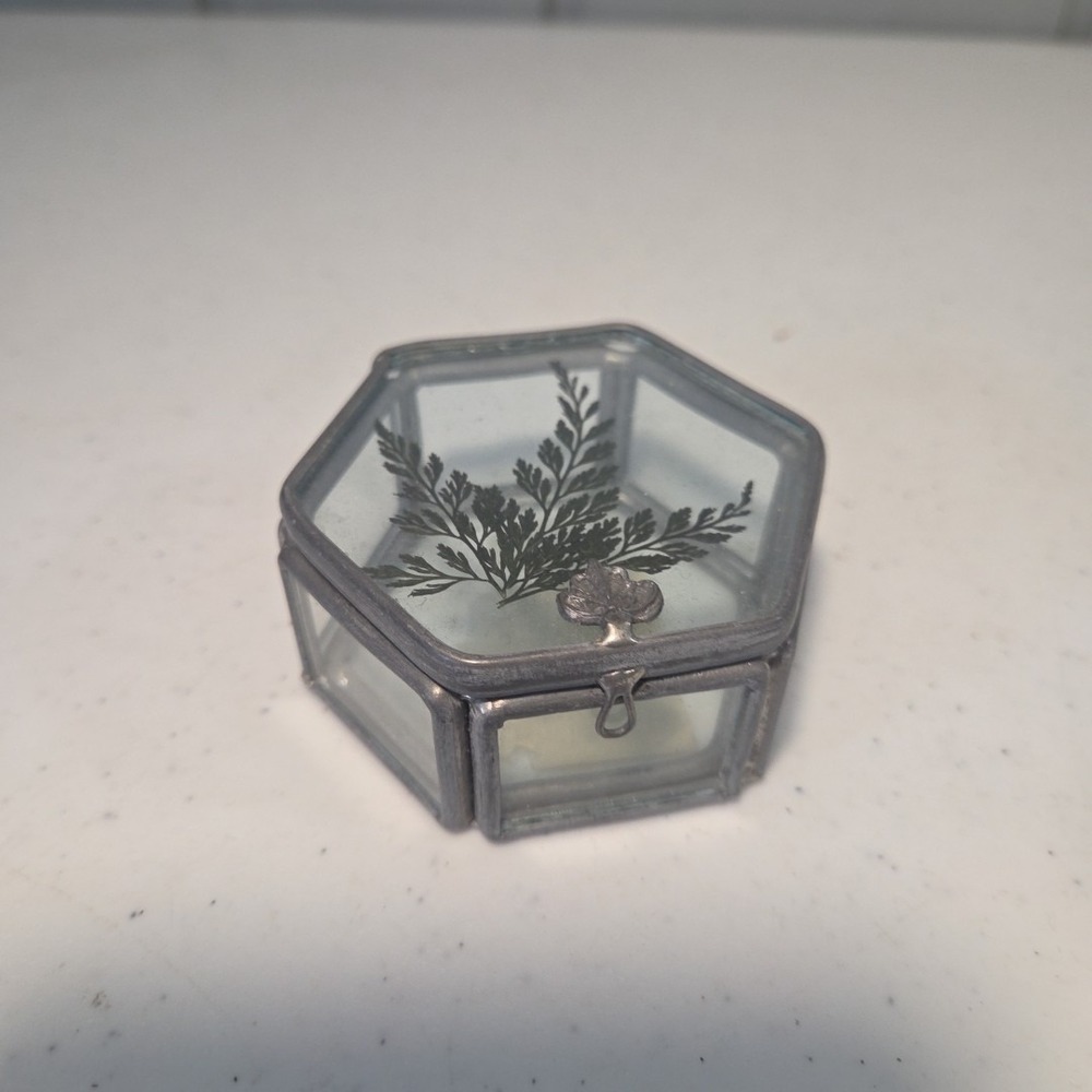 Vtg Small Mini Hexagon Trinket Jewelry Box Leaded Glass Pressed Dried Fern Flora